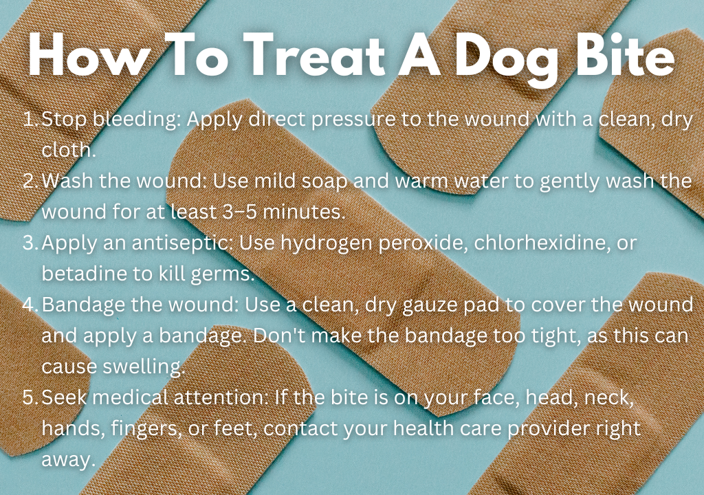 Image of steps on how to treat a dog bite